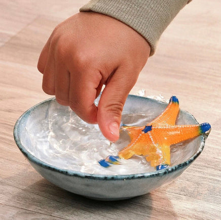 Color Changing Starfish 14902 - ToyTime