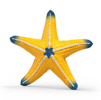 Color Changing Starfish 14902 - ToyTime