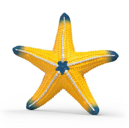 Color Changing Starfish 14902 - ToyTime