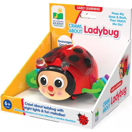 Crawl Aabout Ladybug..@Learning Journey - ToyTime