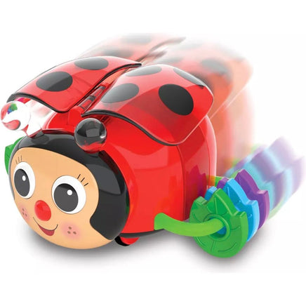 Crawl Aabout Ladybug..@Learning Journey - ToyTime