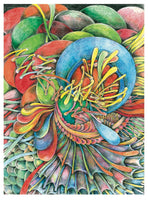 Creative Haven Serenity Coloring Book - ToyTime