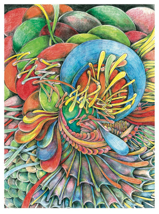 Creative Haven Serenity Coloring Book - ToyTime