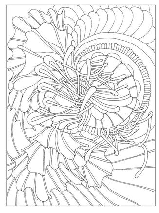 Creative Haven Serenity Coloring Book - ToyTime