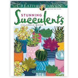 Creative Haven Stunning Succulents - ToyTime