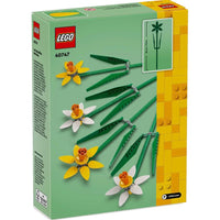 Daffodils 40747 - ToyTime