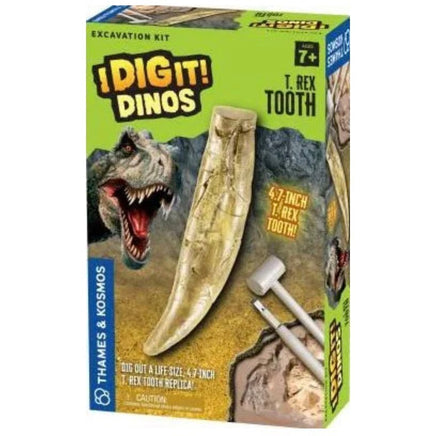 Dig It Dinos T Rex Tooth..@Thames & Kosmos - ToyTime