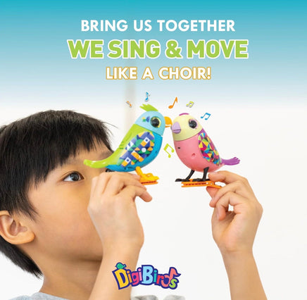 DigiBirds Singing Bird Toy in Case Assortment. - ToyTime