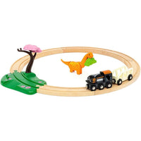 Dinosaur Circle Set - ToyTime