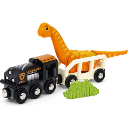 Dinosaur Circle Set - ToyTime