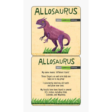 Dinosaurs Lunch Box Notes - ToyTime