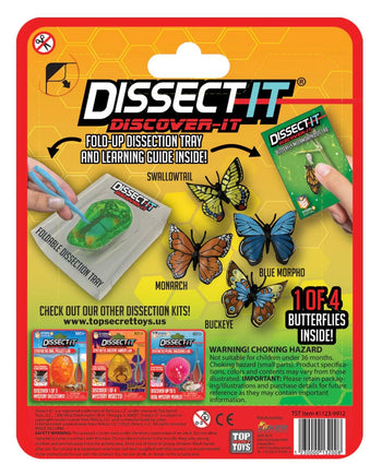 Discover It Butterfly - ToyTime