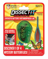 Discover It Butterfly - ToyTime