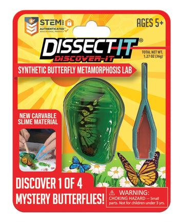 Discover It Butterfly - ToyTime