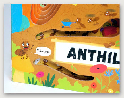 Discovering the Active World of the Anthill - ToyTime