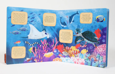 Discovering the Secret World Coral Reef - ToyTime