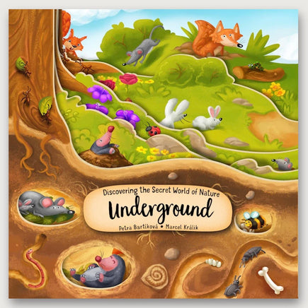 Discovering the Secret World Underground - ToyTime