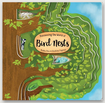 Discovering the World of Bird Nests - ToyTime