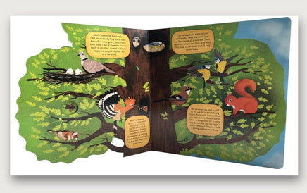 Discovering the World of Bird Nests - ToyTime