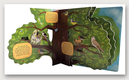 Discovering the World of Bird Nests - ToyTime