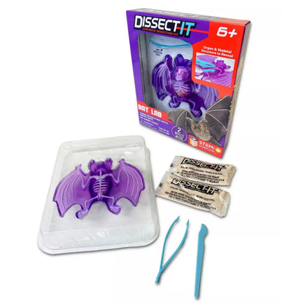 Dissect Bat Lab - ToyTime