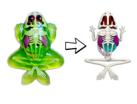 Dissect It Frog lab - ToyTime