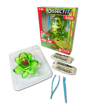 Dissect It Frog lab - ToyTime