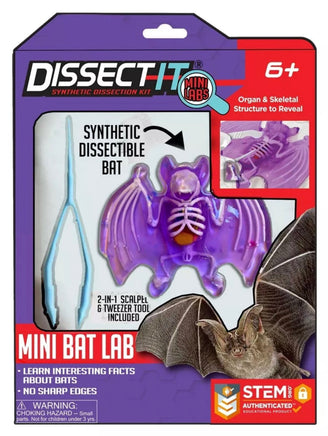 Dissect It Mini Bat Lab - ToyTime