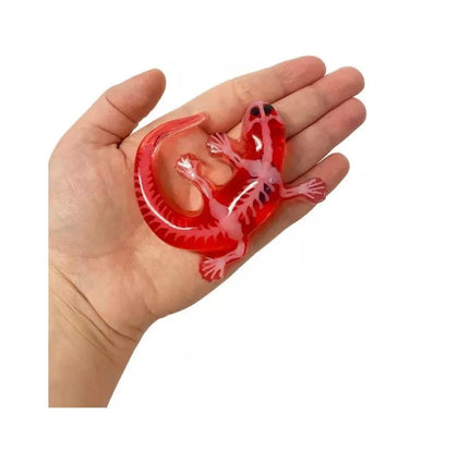 Dissect It Mini Salamander Lab - ToyTime