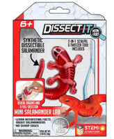 Dissect It Mini Salamander Lab - ToyTime