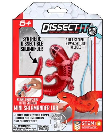Dissect It Mini Salamander Lab - ToyTime