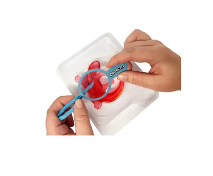 Dissect It Mini Salamander Lab - ToyTime