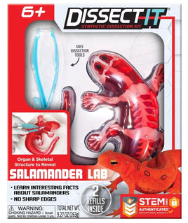 Dissect it Salamander Lab - ToyTime
