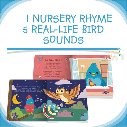 Ditty Bird Bird Songs - ToyTime