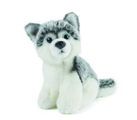 Dogs Puppy Plush Assortment - ToyTime