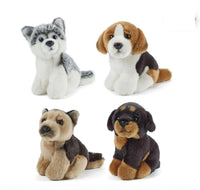 Dogs Puppy Plush Assortment - ToyTime