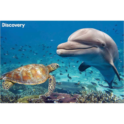 Dolphin & Turtle Discovery 3D Jigsaw Puzzle - ToyTime