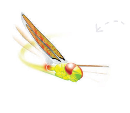 Dragonflyer Flying Toy - ToyTime