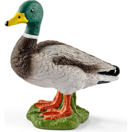 Drake Duck 13824 - ToyTime