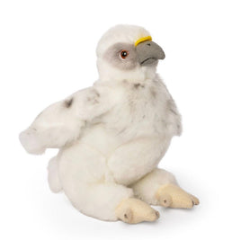 Eagle chick An714 - ToyTime