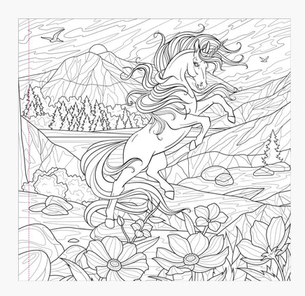 Enchanted Kingdom Adult Coloring Book - ToyTime