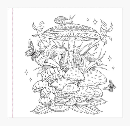 Enchanted Kingdom Adult Coloring Book - ToyTime