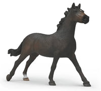 English Thoroughbred Mare 14914 - ToyTime
