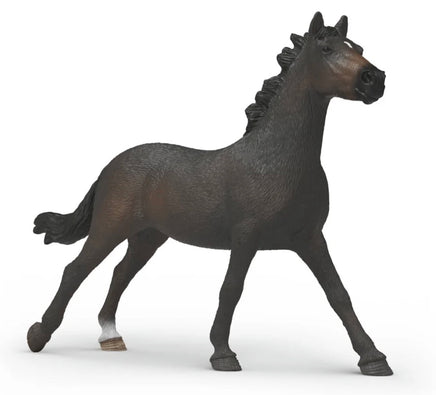 English Thoroughbred Mare 14914 - ToyTime