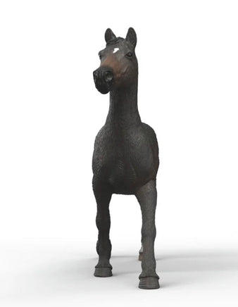 English Thoroughbred Mare 14914 - ToyTime