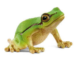 European Tree Frog 14882 - ToyTime