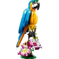 Exotic parrot 31136 - ToyTime