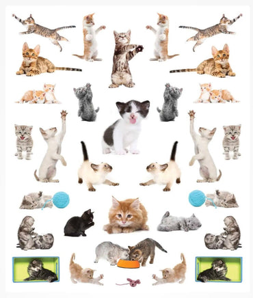 EyeLike 400 Reusable Stickers Kittens - ToyTime