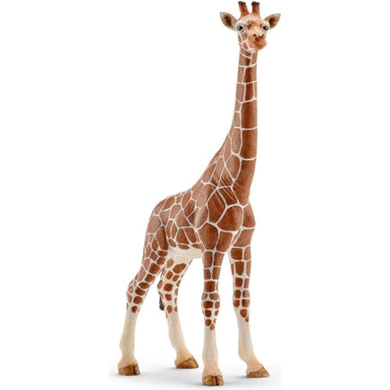 Female Giraffe 14750...@Schleich - ToyTime