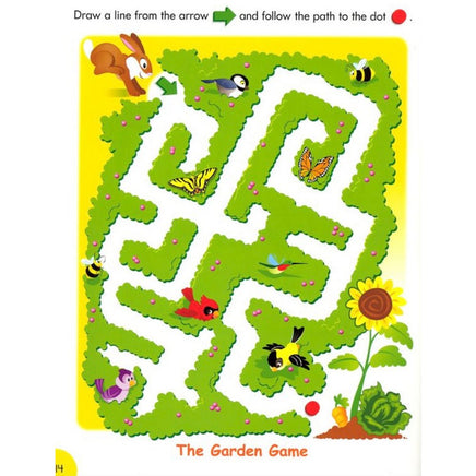 Fun With Mazes Wipe Off Book - ToyTime